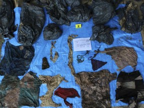 In this undated photo provided by the Veracruz State Prosecutor's Office shows clothing items found at the site of a clandestine burial pit in the Gulf coast state of Veracruz, Mexico. Veracruz state prosecutor Jorge Winckler said the bodies were buried at least two years ago and did not rule out finding more remains. He said investigators had found 114 ID cards in the field, which held about 32 burial pits.