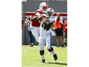 Virginia's Olamide Zaccheaus (4) hauls in a pass for a touchdown against North Carolina State's Tanner Ingle (10) during the first half of an NCAA college football game in Raleigh, N.C., Saturday, Sept. 29, 2018.