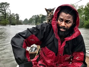 Robert Simmons Jr. and his kitten "Survivor" are rescued from floodwaters after Hurricane Florence dumped several inches of rain in the area overnight, Friday, Sept. 14, 2018 in New Bern, N.C.