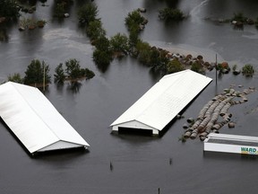 Farm buildings are inundated with floodwater from Hurricane Florence near Trenton, N.C., Sunday, Sept. 16, 2018.