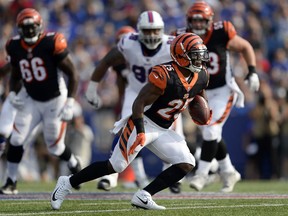 FILE - In this Aug. 26, 2018, file photo, Cincinnati Bengals running back Giovani Bernard carries the ball during the first half of a preseason NFL football game against the Buffalo Bills, in Orchard Park, N.Y. The Bengals will rely more heavily on Giovani Bernard to pull them through the next few games with running back Joe Mixon sidelined after a knee procedure.