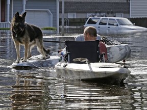 A man tries to get his dog out of a flooded neighborhood in Lumberton, N.C., Monday, Sept. 17, 2018, in the aftermath of Hurricane Florence.