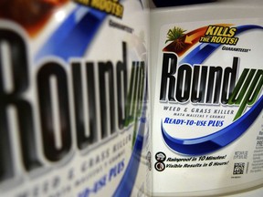 FILE - In this June 28, 2011, file photo, bottles of Roundup herbicide, a product of Monsanto, are displayed on a store shelf in St. Louis. Agribusiness giant Monsanto is asking a San Francisco judge to throw out a jury's $289 million award to a former school groundskeeper who said the company' Roundup weed killer left him dying of cancer.