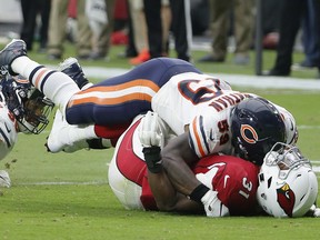 Chicago Bears linebacker Danny Trevathan, top, tackles Arizona Cardinals running back David Johnson (31) for a loss as Bears defensive end Roy Robertson-Harris, left, looks on during the first half of an NFL football game, Sunday, Sept. 23, 2018, in Glendale, Ariz.