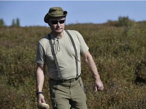 A picture taken on August 26, 2018, shows Russian President Vladimir Putin walking while holding a mushroom during a short vacation in the remote Tuva region in southern Siberia. A weekly show glorifying Vladimir Putin's political acumen, physical fitness and love of children has made its debut on Russian state television.
