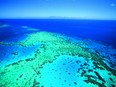 Aerial view of small part of Great Barrier Reef. A yacht company has advised people to avoid swimming off Cid Harbour after two swimmers were injured in separate shark attacks.
