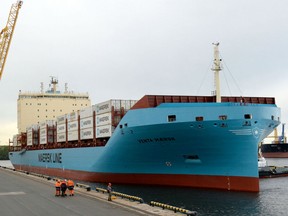 Maersk's new ice class container vessel, Venta Maersk, arrives at the port of Saint Petersburg on September 28, 2018. - A Danish vessel loaded with Russian fish and South Korean electronics arrived in Saint Petersburg, becoming the first container ship to navigate the Russian Arctic as the ice pack melts and recedes.