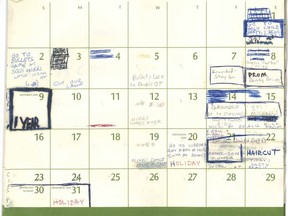 This image released by the Senate Judiciary Committee, Wednesday, Sept. 26, 2018 in Washington, shows Supreme Court nominee Judge Brett Kavanaugh's calendar, from the Summer of 1982. (Senate Judiciary Committee via AP)