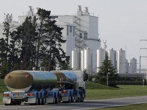 In this Sept. 12, 2018, file photo, a Fonterra milk tanker drives into the Darfield factory near Christchurch, New Zealand.  New Zealand's largest company, which sells dairy products, said Thursday, Sept. 13,  it will completely review its business investments after a disastrous financial year saw it post its first-ever loss.