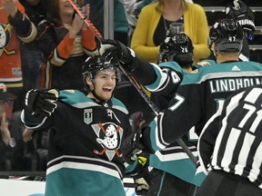 Anaheim Ducks center Sam Steel, left, celebrates his goal with defenseman Brandon Montour, center, and defenseman Hampus Lindholm, of Sweden, during the first period of an NHL hockey game against the Buffalo Sabres Sunday, Oct. 21, 2018, in Anaheim, Calif.