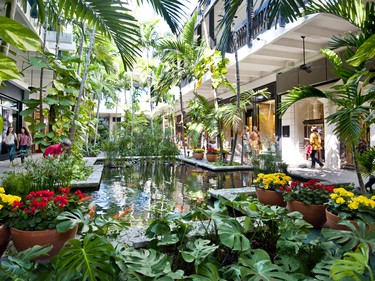 Bal Harbour Shops features 100 luxury retailers.