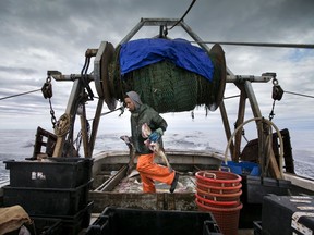 FILE - In this April 23, 2016, file photo, Elijah Voge-Meyers carries cod caught in the nets of a trawler off the coast of New Hampshire. American fishermen are slated to lose thousands of pounds of valuable fishing quota under a new catch share agreement with Canada for the 2019 fishing year, that was approved in September.