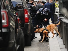 A bomb sniffing dog is deployed outside the Time Warner Center after an explosive device was found this morning on October 24, 2018 in New York City.