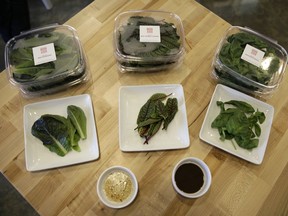 In this Thursday, Sept. 27, 2018, photo from left, packages of red romaine, red veined sorrel and basil are displayed at Iron Ox, a robotic indoor farm, in San Carlos, Calif. At the indoor farm, robot farmers that roll maneuver through a suburban warehouse tending to rows of leafy, colorful vegetables that will soon be filling salad bowls in restaurants and eventually may be in supermarket produce aisles, too.