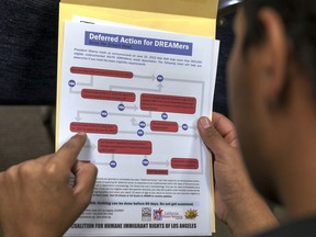 File - In this Aug. 15, 2012 file photo, a legal immigrant reads a guide of the conditions needed to apply for the so-called 'DREAMers' Obama program, formally known as Deferred Action for Childhood Arrivals (DACA) at the Coalition for Humane Immigrant Rights, CHIRLA offices in Los Angeles. The Trump administration says it will ask the U.S. Supreme Court to intervene if a federal appeals court does not rule soon on the administration's decision to end legal protections for hundreds of thousands of young immigrants. The U.S. Department of Justice said in a letter to the 9th U.S. Circuit Court of Appeals Wednesday, Oct. 17, 2018, that it wanted a ruling on President Barack Obama's DACA program by October 31.