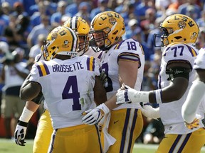 LSU players, including tight end Foster Moreau (18) and offensive tackle Saahdiq Charles (77) celebrate with running back Nick Brossette (4) after he scored a touchdown against Florida on a 4-yard run durinng the first half of an NCAA college football game, Saturday, Oct. 6, 2018, in Gainesville, Fla.
