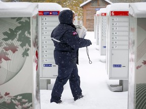 Canada Post employee Shelly Paul delivers the mail in snowy Water Valley, Alta., Tuesday, Oct. 2, 2018. Snowfall with total amounts of 10 to 20 cm are expected in south western Alberta.