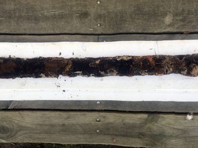 This photo taken in July 2018 and released by the Jonkopings lans Museum on Friday, Oct. 5 2018 shows a pre-Viking era sword in Jonkopings, Sweden. Mikael Nordstrom of the local Jonkoping County museum says 8-year-old Saga Vanecek was helping her father with his boat in the Vidostern lake when she stepped on an 85-centimeter (34-inch) sword in a holster made of wood and leather, believed to be about 1,500 years old.