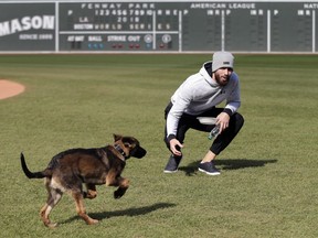 Boston Red Sox pitcher Rick Porcello plays with his four-month-old puppy, Bronco, during a baseball workout at Fenway Park, Sunday, Oct. 21, 2018, in Boston. The Red Sox are preparing for Game 1 of the baseball World Series against the Los Angeles Dodgers scheduled for Tuesday in Boston.