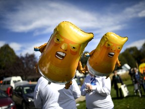 Demonstrator's hold "Baby Trump" balloons as Anti-Trump protestors began to gather at Soldier's Field Veterans Memorial in Rochester, Minn., Thursday, Oct. 4, 2018.
