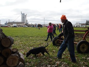 Volunteer Tim Collins of Shoreview, Minn., and his dog Gretchen search near Barron, Wis., Tuesday, Oct. 23, 2018, for 13-year-old Jayme Closs, who was discovered missing Oct. 15 after her parents were found fatally shot at their home. The search for Closs was expanded Tuesday, with as many as 2,000 volunteers expected to take part in a search of the area. "If there's something out here, (Gretchen) will smell it," he said.