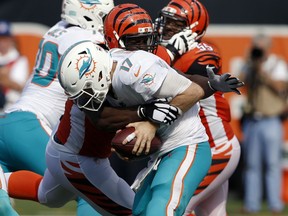 FILE - In this Oct. 7, 2018, file photo, Cincinnati Bengals defensive tackle Geno Atkins sacks Miami Dolphins quarterback Ryan Tannehill (17) during the second half of an NFL football game, in Cincinnati.  Atkins sacked Ryan Tannehill twice and hit him three other times as he was getting rid of the ball. The Bengals defensive tackle simply pushed through the Miami Dolphins' line, his latest disruptive performance in an impressive start to the season.