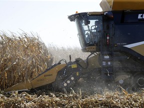 FILE- In this Sept. 12, 2018, file photo a combine harvests corn during a demonstration at the Husker Harvest Days farm show in Wood River, Neb. On Wednesday, Oct. 10, the Labor Department reports on U.S. producer price inflation in September