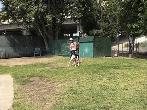 In this Wednesday, Oct. 10, 2018, photo, an employee exercises a greyhound at an outdoor recreation area at Hemopet canine blood bank in Garden Grove, Calif. The organization said the dogs are walked at least five times daily and given outdoor recreation time. The animal rights group People for the Ethical Treatment of Animals (PETA) has filed a complaint alleging mistreatment of dogs at Hemopet, one of the nation's largest canine blood banks, a claim the nonprofit organization that runs the Southern California facility for retired racing greyhounds adamantly rejects.