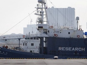 FILE - In this March 12, 2010, file photo, Japan's whaling ship Shonan Maru 2 arrives back from the Antarctic with Sea Shepherd's anti-whaling activist Peter Bethune of New Zealand on board at Harumi pier in Tokyo shortly before Japan's coast guard arrested Bethune for illegally boarding the Japanese ship in February.
