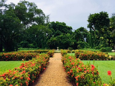 There are nearly 1,000 plants and trees on the Ancient Spanish Monastery's grounds.