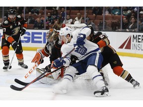 Toronto Maple Leafs left wing Zach Hyman (11) shoots a wraparound with Anaheim Ducks goaltender John Gibson (36) and defenseman Brandon Montour (26) defending during the first period of an NHL hockey game in Anaheim, Calif., Friday, Nov. 16, 2018.