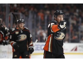 Anaheim Ducks' Brandon Montour points to goaltender Ryan Miller while celebrating his goal against the Colorado Avalanche during the first period of an NHL hockey game Sunday, Nov. 18, 2018, in Anaheim, Calif.