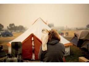 Suzanne Kaksonen, an evacuee of the Camp Fire, and her cockatoo Buddy camp at a makeshift shelter outside a Walmart store in Chico, Calif., on Wednesday, Nov. 14, 2018. Kaksonen lost her Paradise home in the blaze.