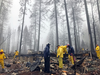 Volunteers search for human remains at a mobile home park in Paradise, Calif., Nov. 23, 2018. A massive new federal report warns that extreme weather disasters, like Californiaâs wildfires and 2018âs hurricanes, are worsening in the United States.