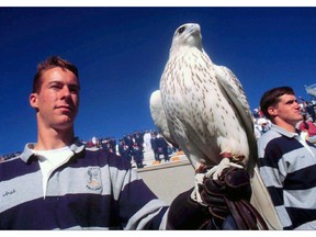 In this Sept. 28, 1996, photo Air Force Academy falconer Josh Johnson stands with falcon Aurora, the academy's official mascot, at the end of a game against Rice at Air Force Academy, Colo. The falcon, which was injured during a prank before the annual rivalry football game against Army, is recovering back in Colorado, but her long-term prognosis is unclear. (The Gazette via AP)