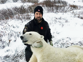 A picture posted this month on the Manitoba Conservation Officers Association Facebook page shows a uniformed officer posing with a polar bear that was tranquilized when it got too close to town.