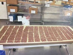 Marijuana-laced chocolate bars are shown at a pot-shop in Toronto during a raid in this evidence photo.