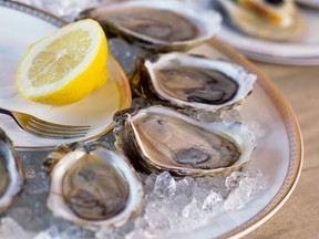 Malpeque oysters