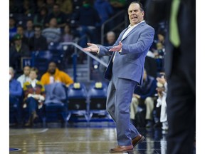 Notre Dame head coach Mike Brey reacts to a call during an NCAA college basketball game against William & Mary,  Saturday, Nov. 17, 2018 at Purcell Pavilion in South Bend.