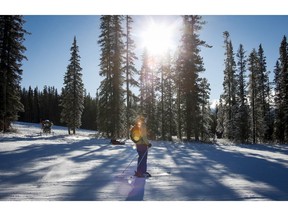 A skier passes trees on a ski run at Lake Louise ski resort in Lake Louise, Alta., Saturday, Nov. 24, 2018. A judge is to sentence a world-renowned Alberta ski resort today for cutting down endangered trees five years ago. The Lake Louise resort in Banff National Park pleaded guilty last December to taking down a stand of trees, including some whitebark pine, along a ski run in 2013.THE CANADIAN PRESS/Jeff McIntosh