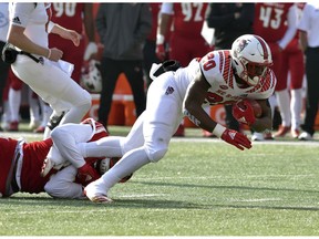 North Carolina State running back Ricky Person Jr. (20) is has his foot wrapped up by Louisville defensive lineman Tabarius Peterson (98) during the first half of an NCAA college football game, in Louisville, Ky., Saturday, Nov. 17, 2018.