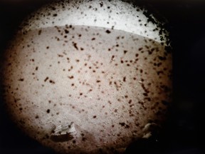 A image transmitted from Mars by the InSight lander is seen on a computer screen at NASA's Jet Propulsion Laboratory Monday, Nov. 26, 2018, in Pasadena, Calif.