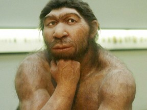 This picture of a German reconstruction of a Neanderthal man certainly suggests the appeal they might have had on our early female ancestors.