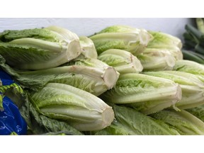 Romaine lettuce is seen at market in Montreal on Thursday, November 22, 2018. Restaurants and grocery stores in Canada have not officially been told to pull their stocks of romaine lettuce, but an ongoing outbreak of E.coli is prompting many to do just that.