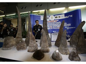 FILE - in this March 14, 2017, file photo, Thai Customs officers stand behind seized rhino horns during a press conference at the customs office at Suvarnabhumi airport, Thailand. A Thai court sentenced three Thais Tuesday, Nov. 20, 2018, to four years in prison over the smuggling of 21 rhinoceros horns worth almost $5 million from Ethiopia.