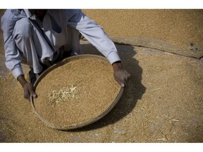 FILE - In this May 5, 2008 file photo, a Pakistani laborer sieves the wheat during the wheat harvest on the outskirt of Lahore, Pakistan. A U.N. Food and Agricultural Organization report released Wednesday, Nov. 28, 2018,  said population growth requires supplies of more nutritious food at affordable prices. But raising farm output is hard given the fragility of the environment given that use of resources has outstripped Earth's carrying capacity in terms of land, water, and climate change.