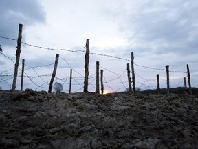 FILE - In this file photo taken on Saturday, Dec. 20, 2014, the sun begins to rise behind barbed wire next to a re-constructed WWI trench in Ploegsteert, Belgium. Hundreds of troops died on the final morning of World War I _ even after an armistice was reached and before it came into force. Death at literally the 11th hour highlighted the futility of a conflict that had become even more incomprehensible in four years of battle.