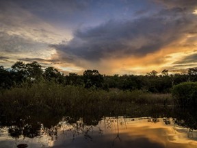 Sunset on the Tapajós River, deep in the Amazon rainforest, in Brazil, March 25, 2018. Scientists are warning that if human beings continue to mine the world’s wildernesses for resources and convert them into cities and farms at the pace of the previous century, the planet’s few remaining wild places could disappear in decades.