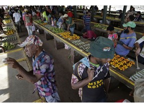 In this Thursday, Nov. 15, 2018, photo, residents walk around the Koki Buai market to buy betel nut at Port Moresby, Papua New Guinea. Along with drinking alcohol in public places, chewing betel nut and spitting out the messy remains, has been aggressively discouraged in Port Moresby this year. It's part attempt to literally clean up the coastal city of 300,000 as world leaders briefly descend on it for a APEC summit this weekend and part the latest episode of an ongoing struggle to control betel nut after previous attempts to completely ban it in the city caused chaos.