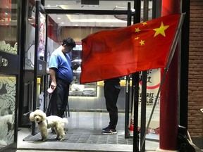 FILE - In this Oct. 3, 2017, file photo, a man walks his dog as he leaves a restaurant flying the Chinese national flag in Beijing, China. A city in southwestern China has banned dog walking during the daytime and banished the pets entirely from parks, shopping centers, sports facilities, and other public spaces.